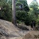 Brook Macdonald performs during  practice at Red Bull Hardline  in Maydena Bike Park,  Australia on February 21,  2024 // Graeme Murray / Red Bull Content Pool // SI202402210570 // Usage for editorial use only //