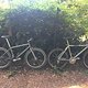 IMG 4742