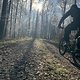 Fahrt am Morgen
