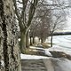 IMG 4574