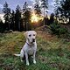 Wanderung