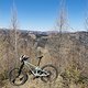IMG 20250318 130946