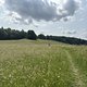 IMG 1746