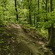 Gratis Wurzeltrail