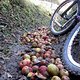 IMG 6635