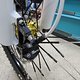 IMG 0274
