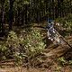 Downhill ist Kopfsache sagt Jasper und beweist auf dem Trail, warum er einer der schnellsten Deutschen dieser Zeit ist