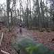 IMG 1251