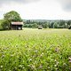 Der Tag vor dem Rennen war stark vom Regen geprägt. Aber die Natur braucht den Regen.