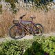 L1000008 (MTB-News)