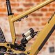 Crossworx-6