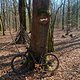 16.03.2025 Auto abholen