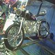 Harley Fahrrad