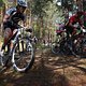 DSC 0016 1305576807