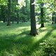 Sommerrevier0020