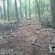 DSC00236