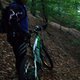 DSCF3737