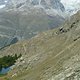 Zermatt 2011 8