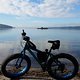 Fatbike am Tollensesee