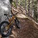 Der Frühlingstrail mit Fatbike.