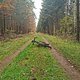 IMG 20201114 113122