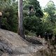 Gracey Hemstreet performs during  practice at Red Bull Hardline  in Maydena Bike Park,  Australia on February 21,  2024 // Graeme Murray / Red Bull Content Pool // SI202402210575 // Usage for editorial use only //