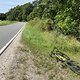 IMG 1921