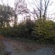 IMG 20241105 073439