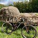 orbea occam LT 2023 mit kleinen Updates