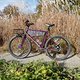 L1000006 (MTB-News)