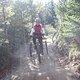 IMG 3271