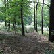 DSC00424