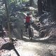 IMG 3318