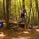 IMG 2252
