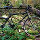 Koga Miyata Carbolite