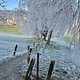 Winterpokal-Aktivität