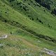 IMG 2244