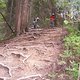 2008 0813PDS20080099