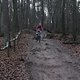 IMG 1190