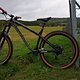 Dartmoor Hornet 2020