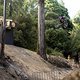 Remy Morton performs during  practice at Red Bull Hardline  in Maydena Bike Park,  Australia on February 21,  2024 // Graeme Murray / Red Bull Content Pool // SI202402210576 // Usage for editorial use only //