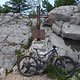 DSC09276