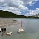 IMG 4158