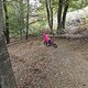 IMG 20241012 122830