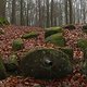 Sonntags Waldlauf. Hindenburg Pfad und Wiener Tal. Hupser kontrolliert - läuft tatsächlich, aber ohne zu hupsen...