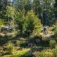 20240922-02 Olbrzymy - Czart