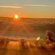 Sunriser