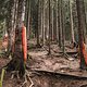 Leogang-Trackwalk-0678