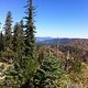 IMG 0695