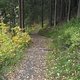 0027 Trail-Altenau
